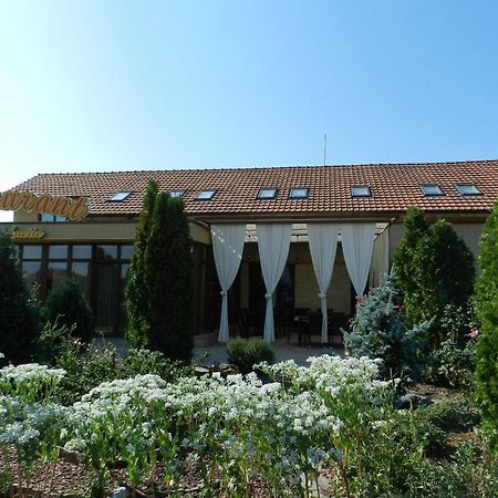 Anette Resort & Spa Covaci Bagian luar foto