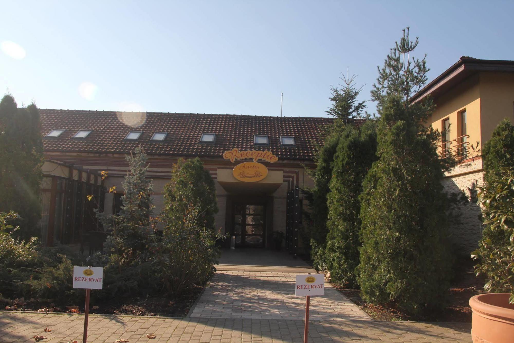Anette Resort & Spa Covaci Bagian luar foto